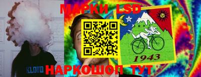 ешки Вязьма