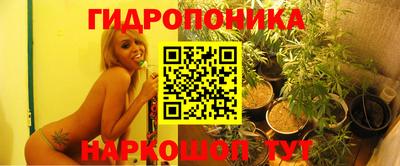 эйфоретик Гудермес