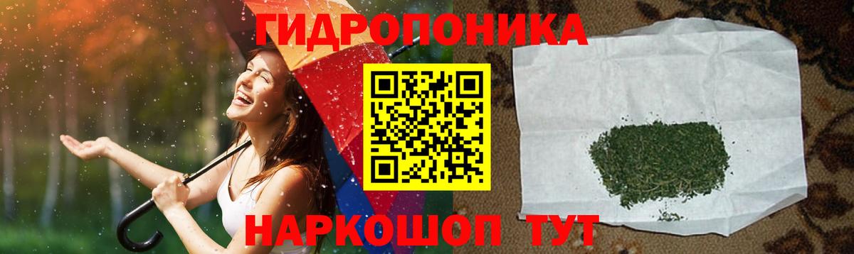 Галлюциногенные грибы Аргун